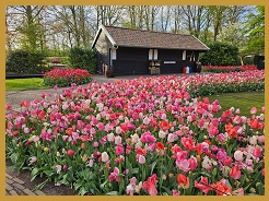 Keukenhof catering werk - Hospitality Ladies © www.hospitalityladies.nl
